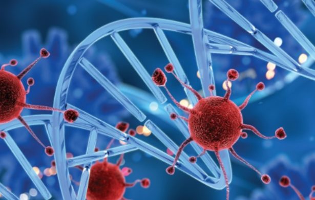 holistic-cancer-care:-combining-medical-and-emotional-support
