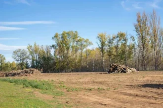 understanding-the-process,-purpose,-and-impact-of-land-clearing